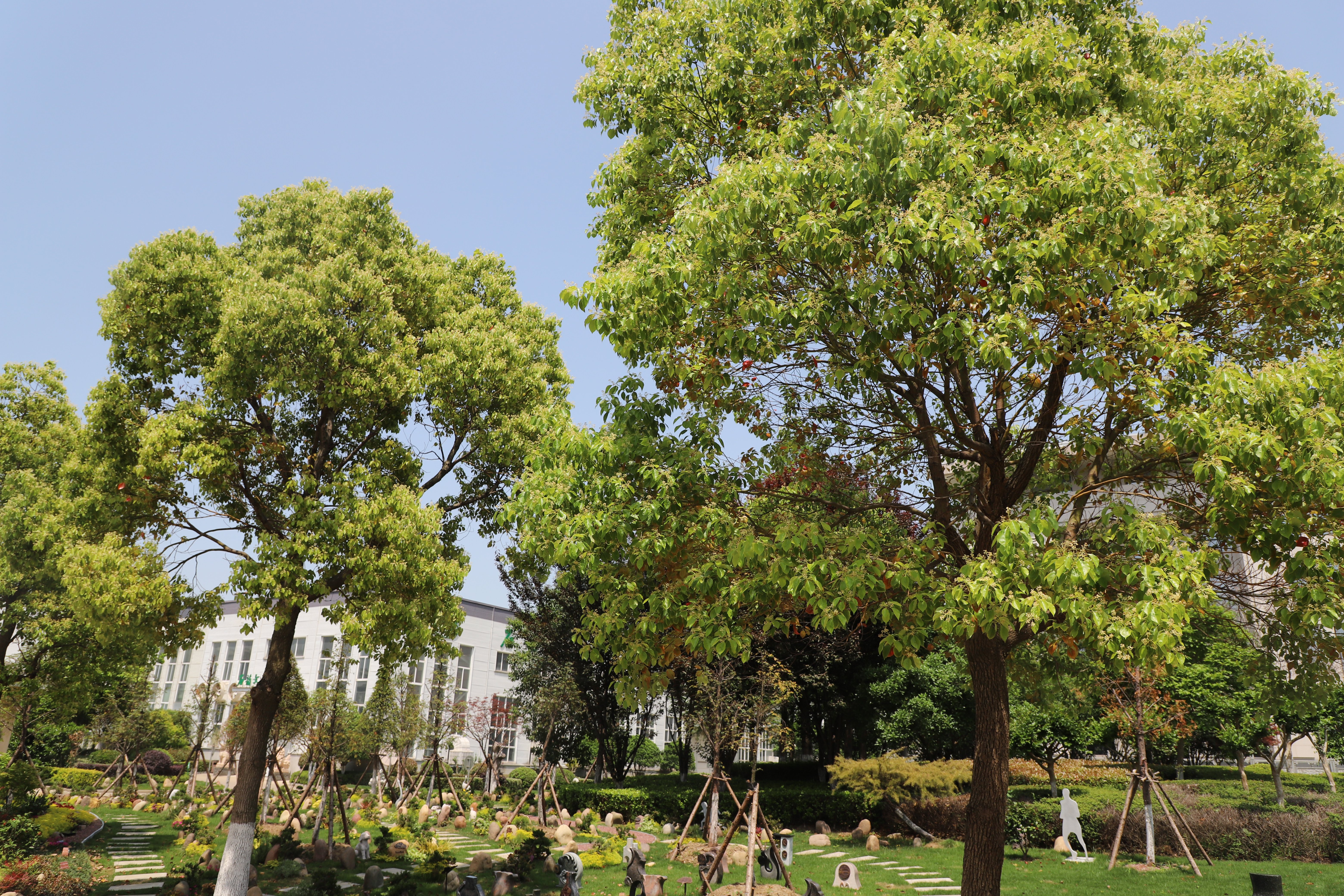 抖圈-为du而生官网入口