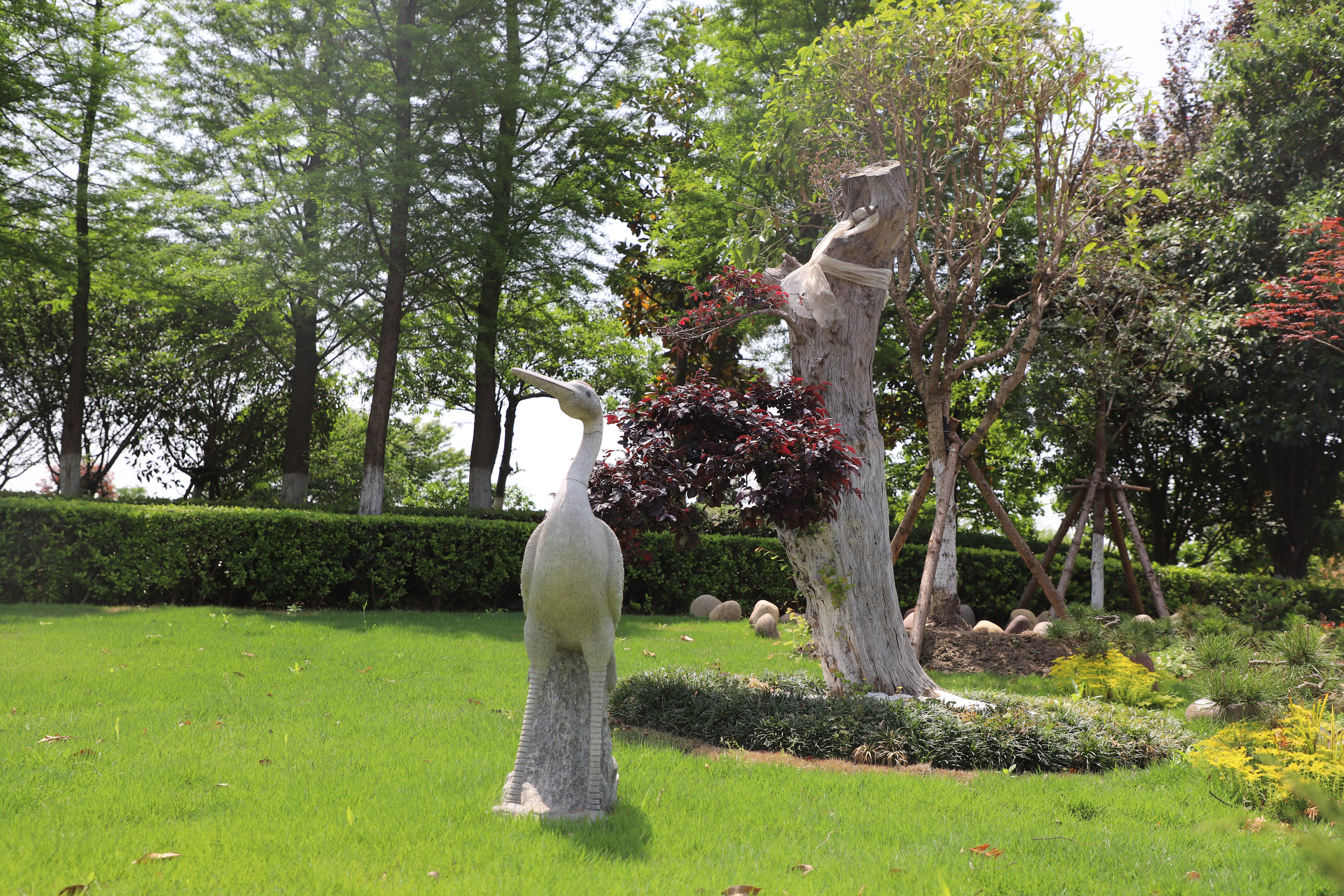 抖圈-为du而生官网入口