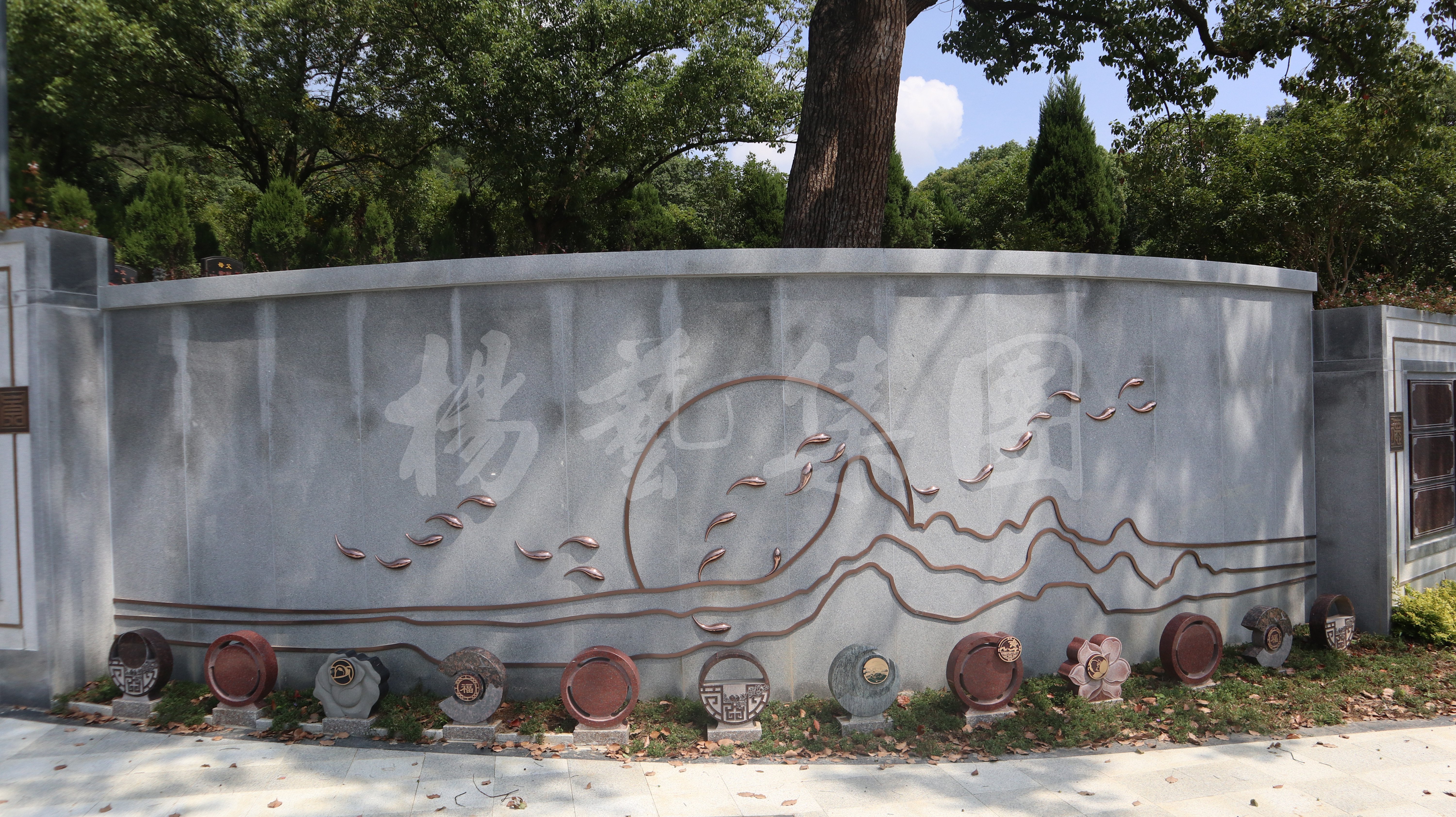 抖圈-为du而生官网入口