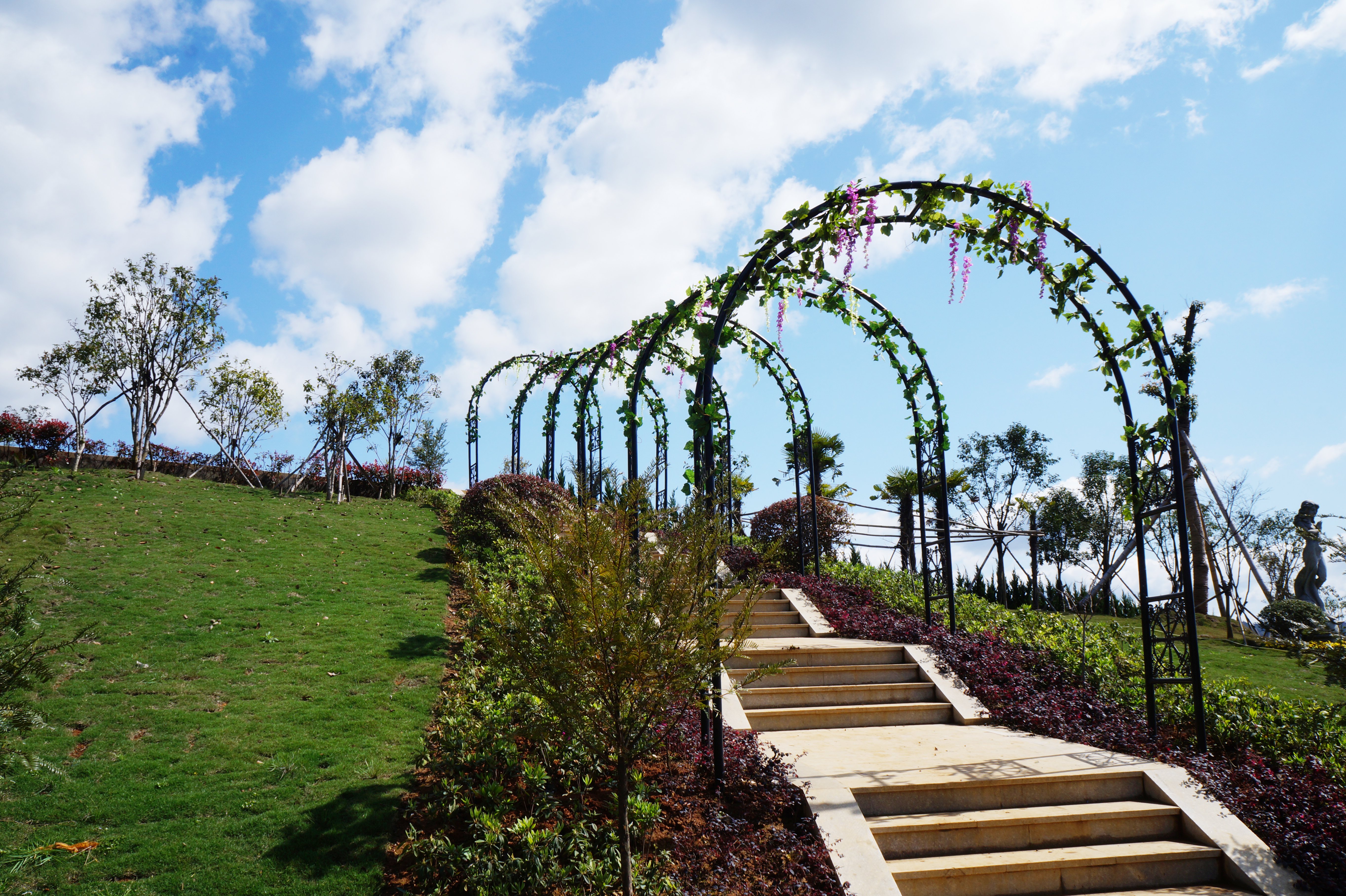 抖圈-为du而生官网入口