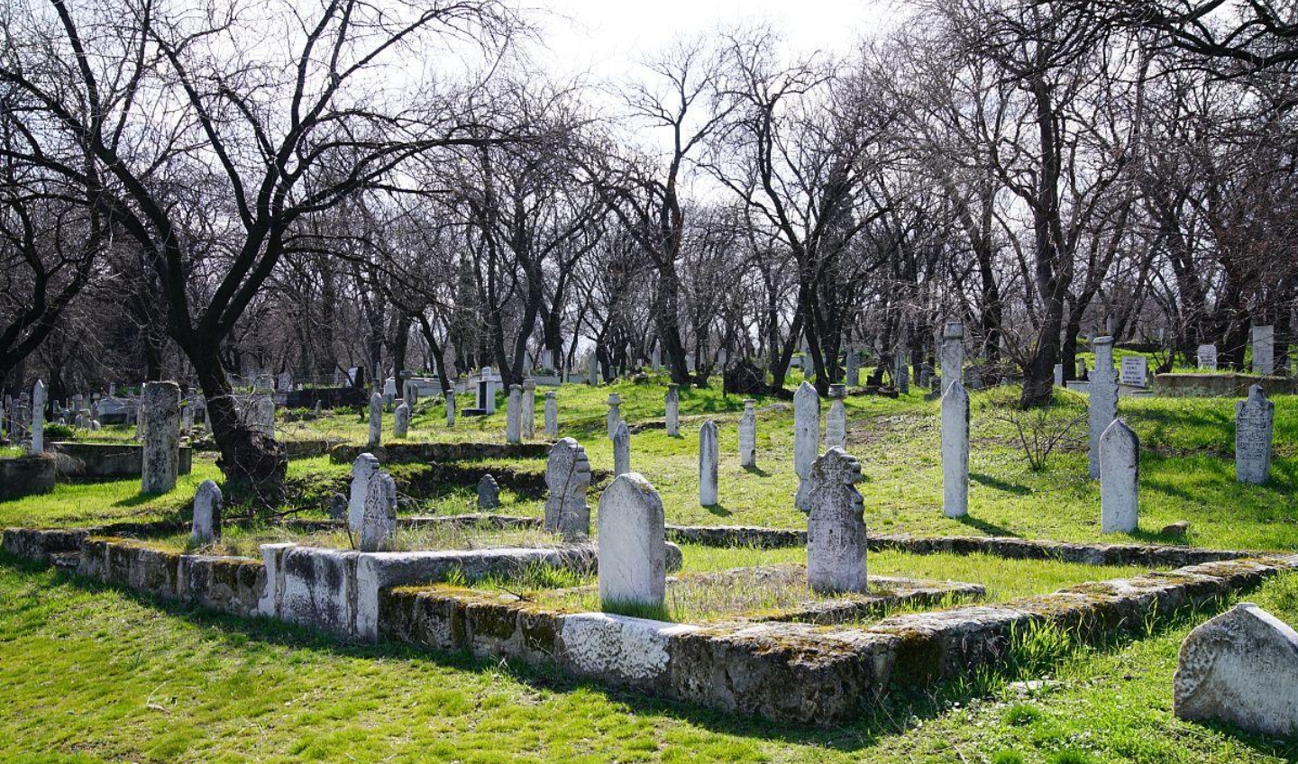 抖圈-为du而生官网入口