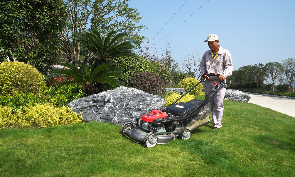 抖圈-为du而生官网入口