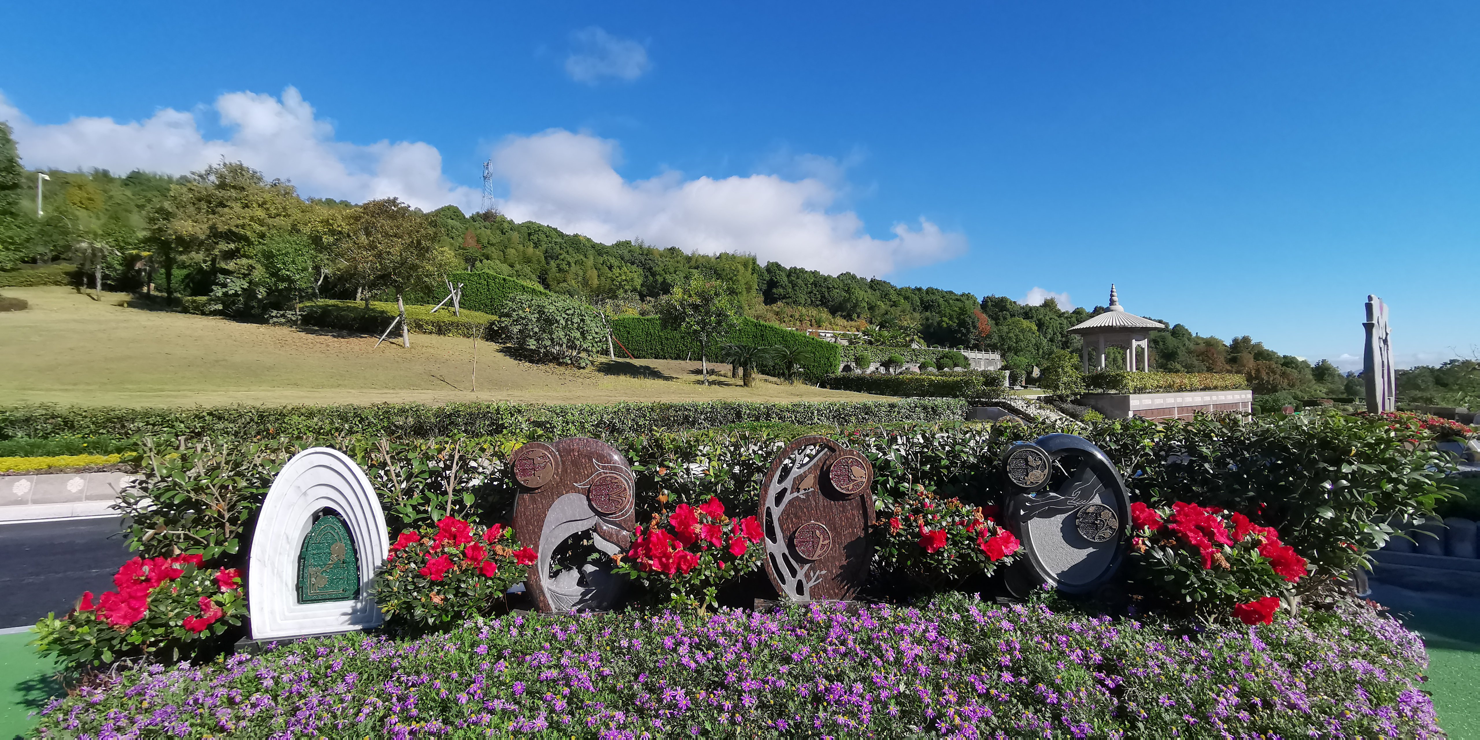 抖圈-为du而生官网入口