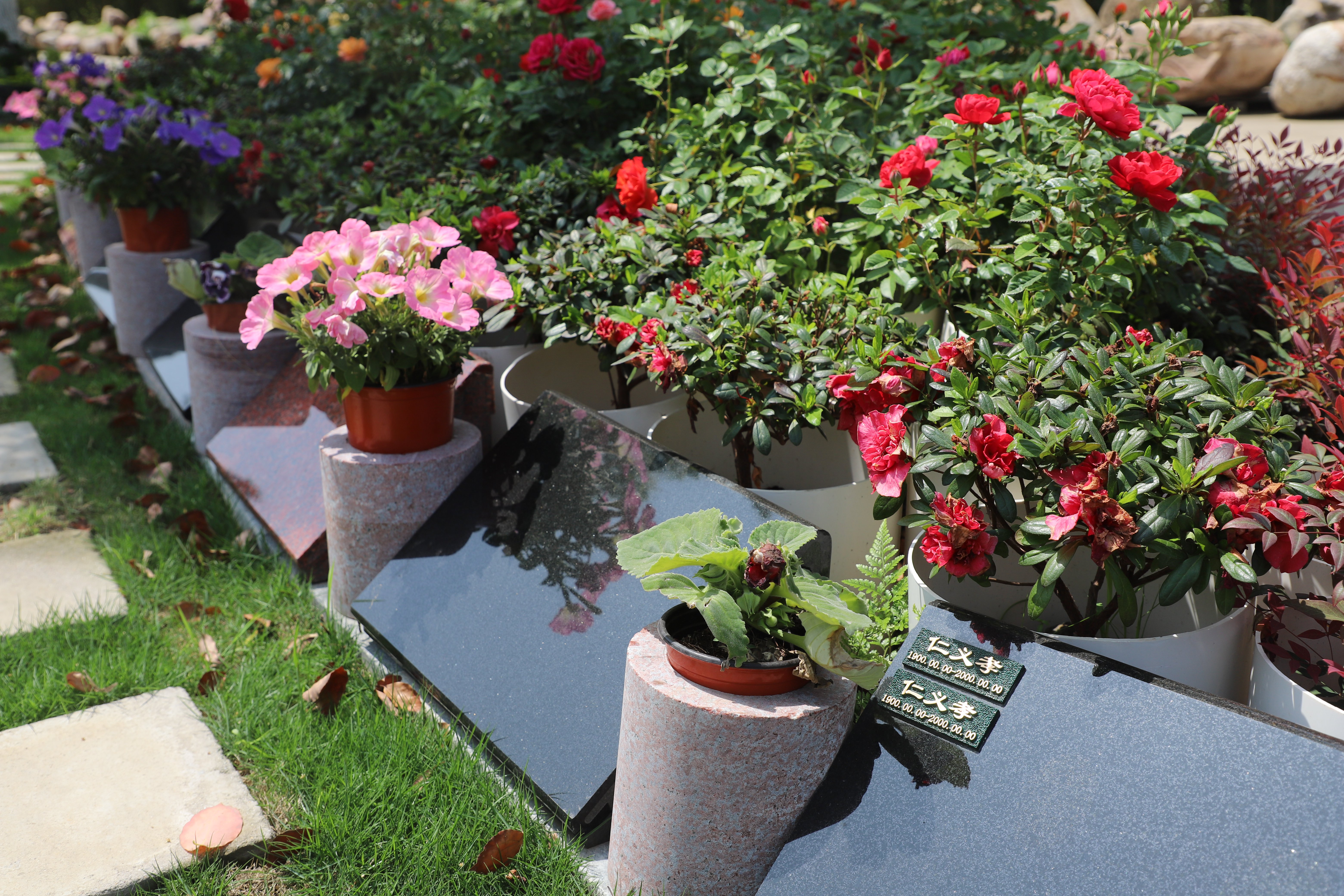 抖圈-为du而生官网入口