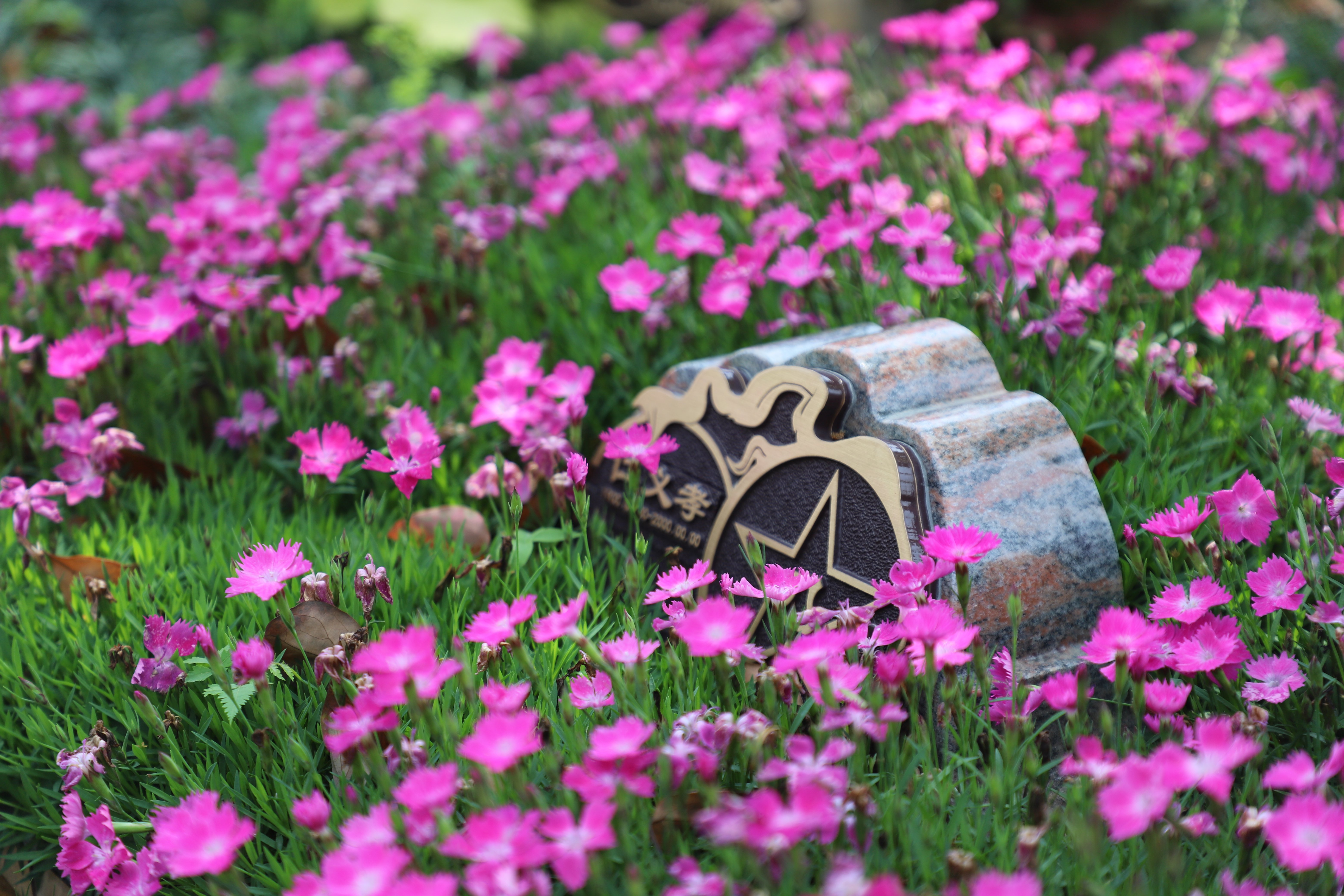 抖圈-为du而生官网入口