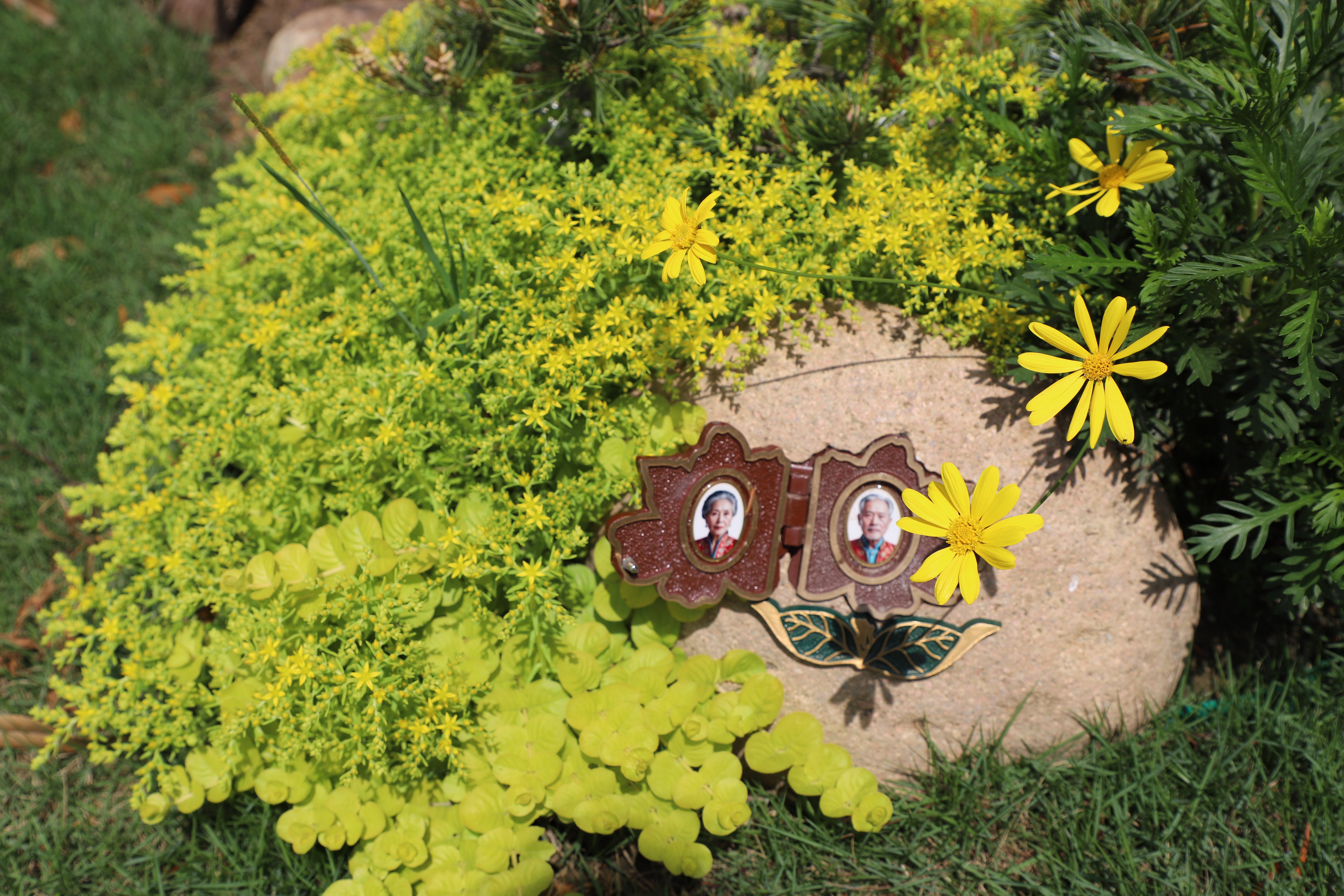 抖圈-为du而生官网入口