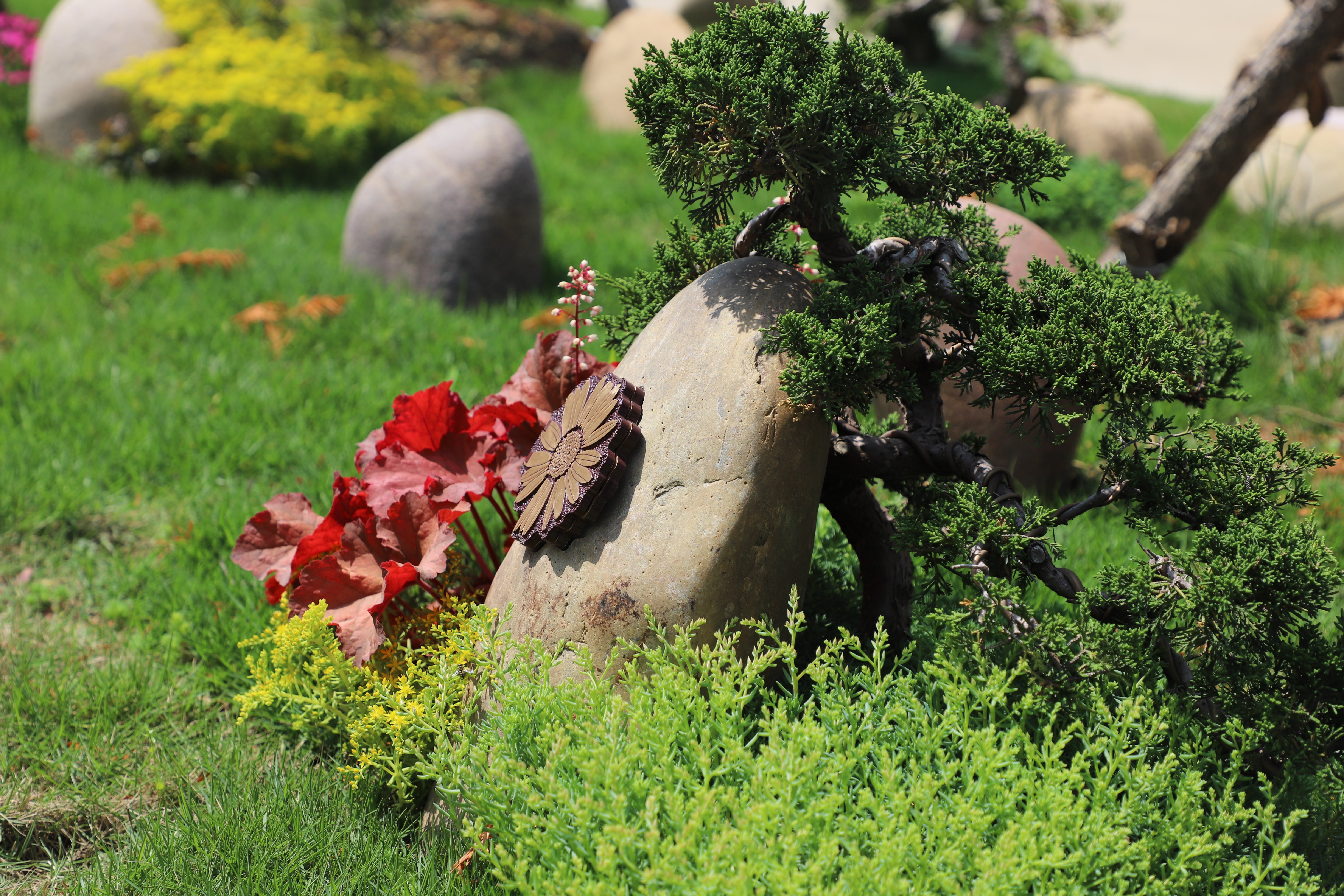 抖圈-为du而生官网入口