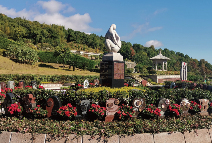 抖圈-为du而生官网入口