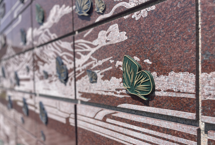 抖圈-为du而生官网入口