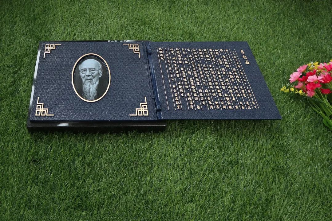 抖圈-为du而生官网入口