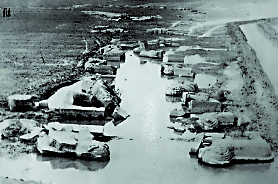 抖圈-为du而生官网入口