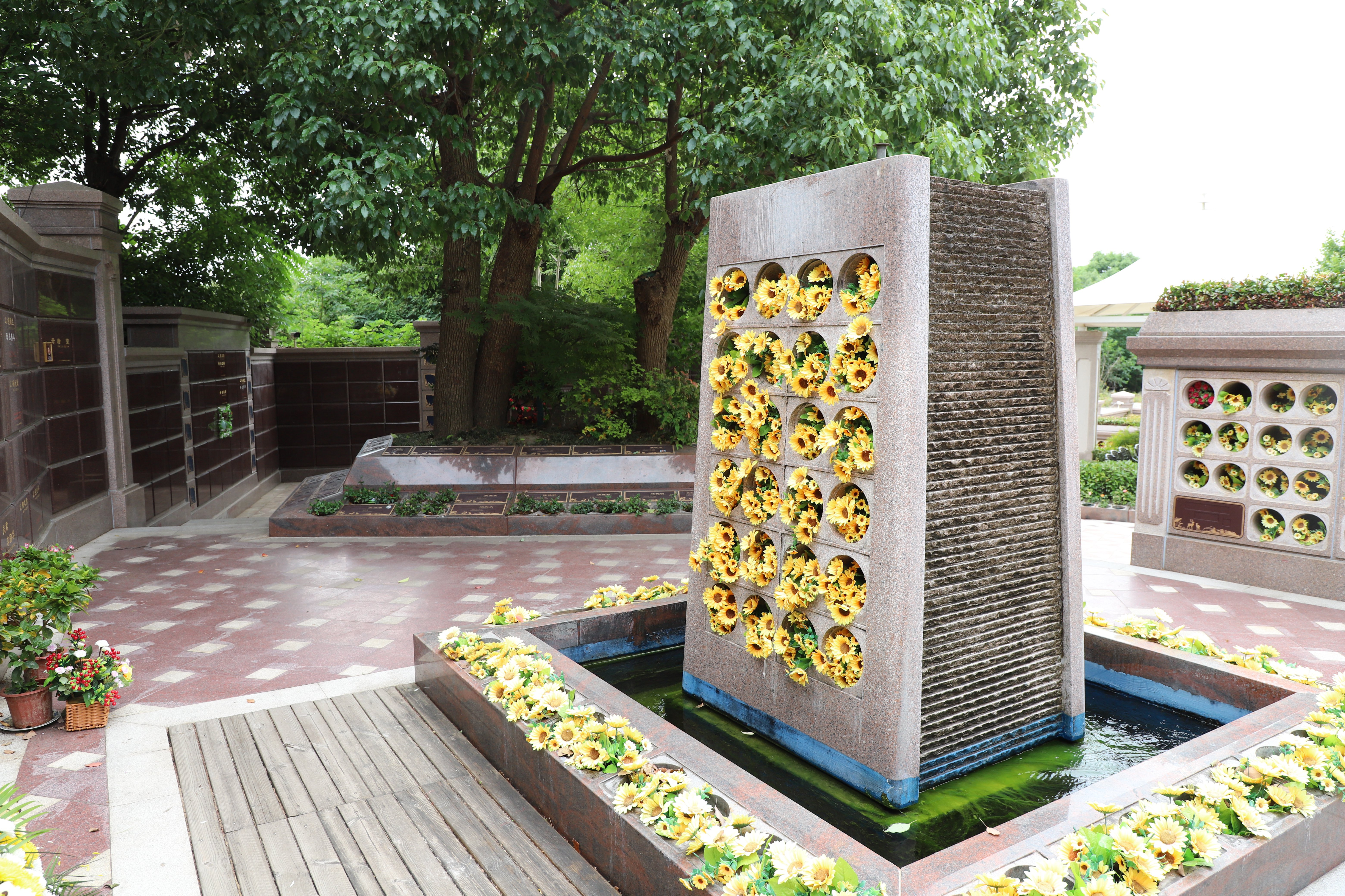 抖圈-为du而生官网入口