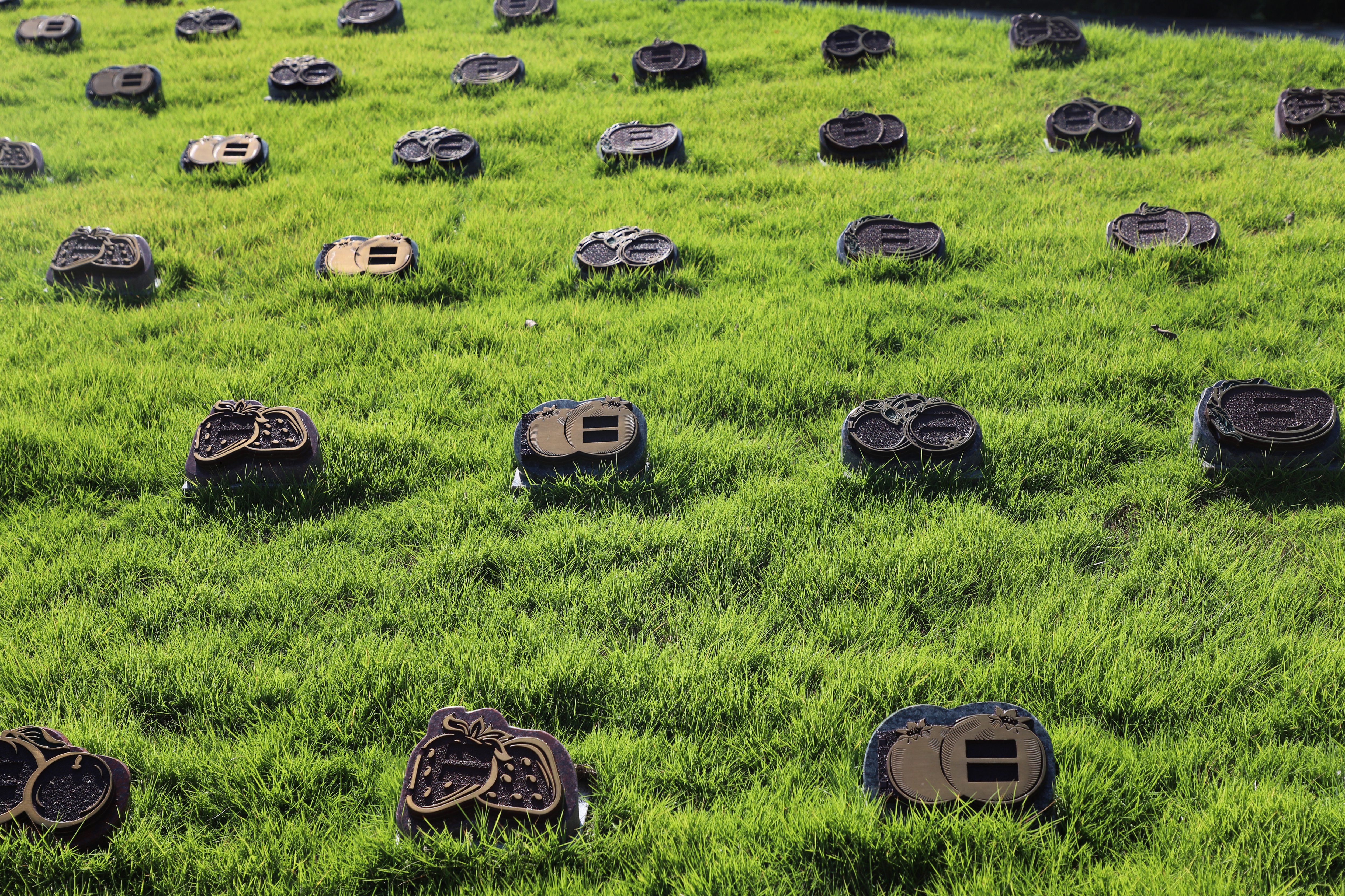 抖圈-为du而生官网入口