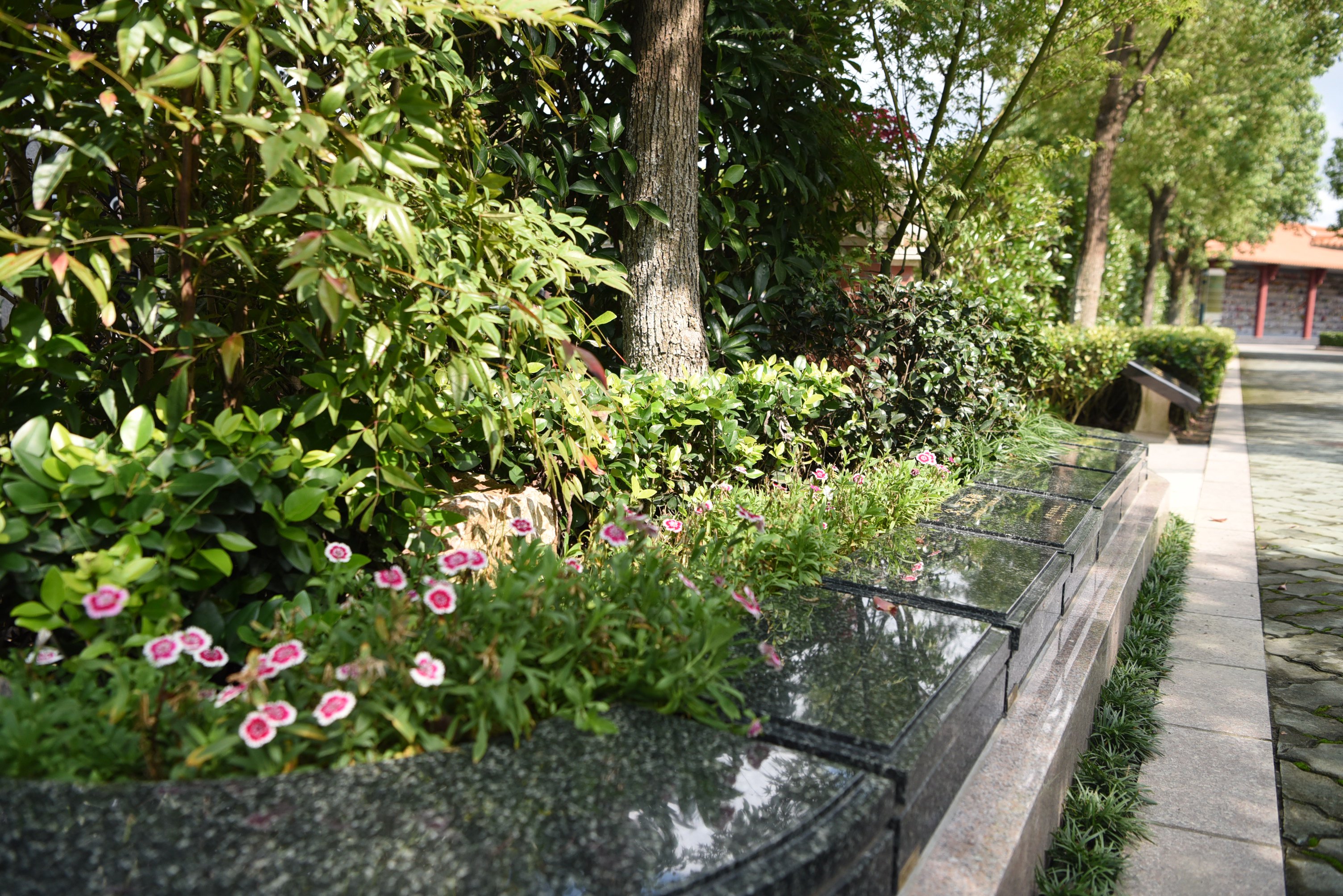 抖圈-为du而生官网入口