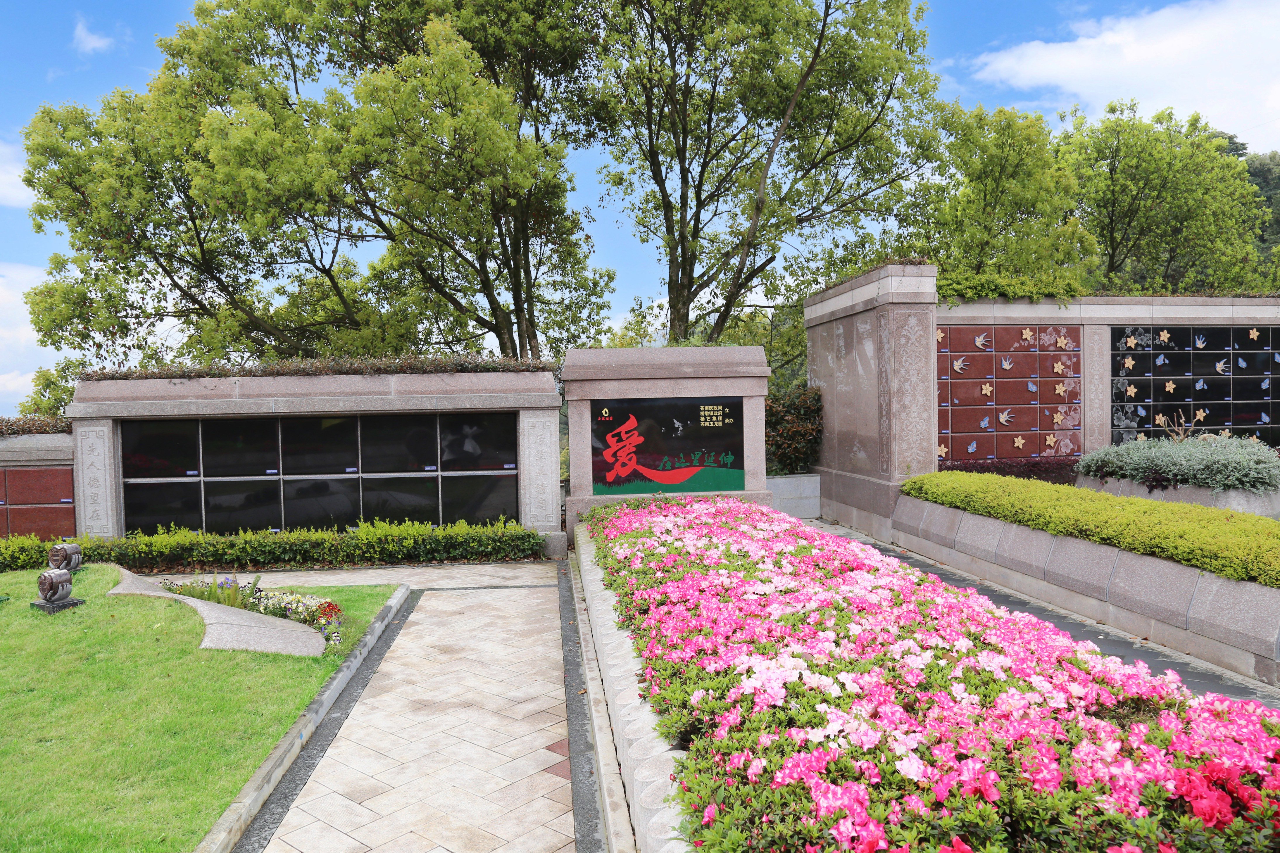 抖圈-为du而生官网入口