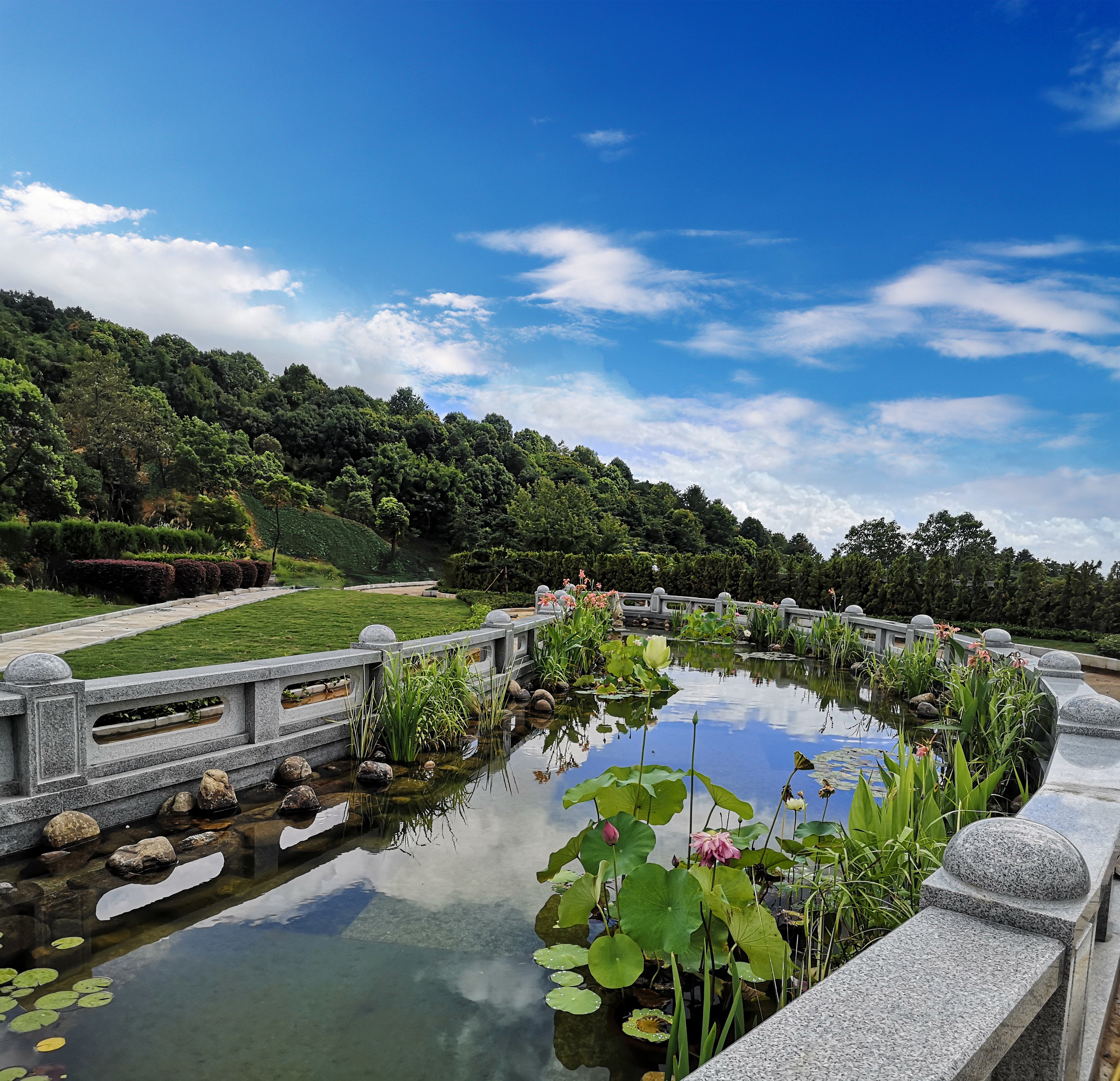 抖圈-为du而生官网入口