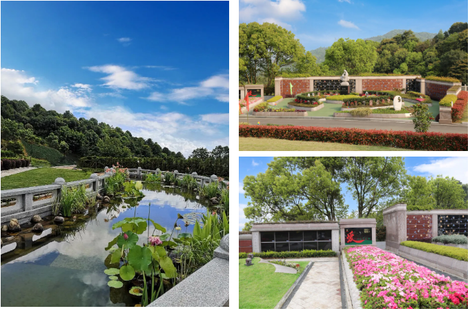 抖圈-为du而生官网入口