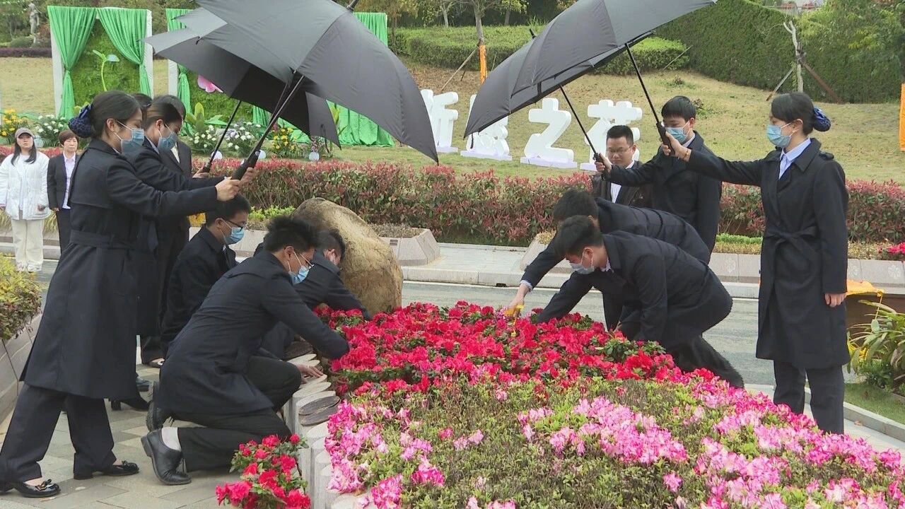 抖圈-为du而生官网入口