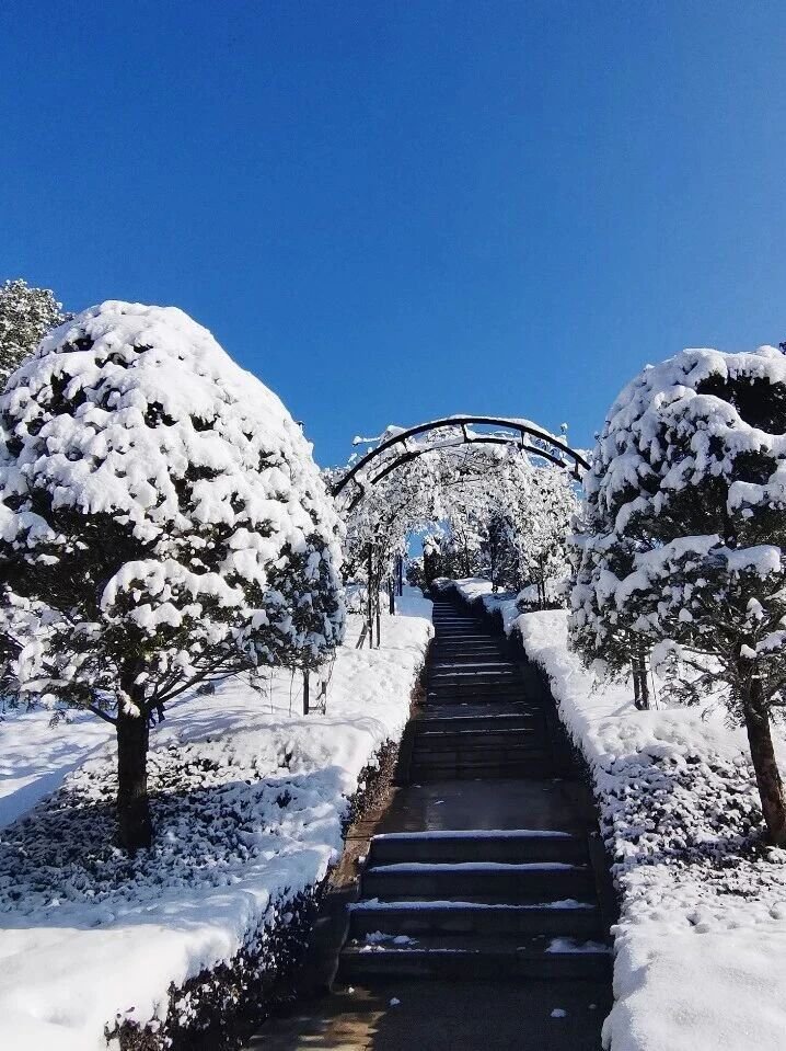 抖圈-为du而生官网入口