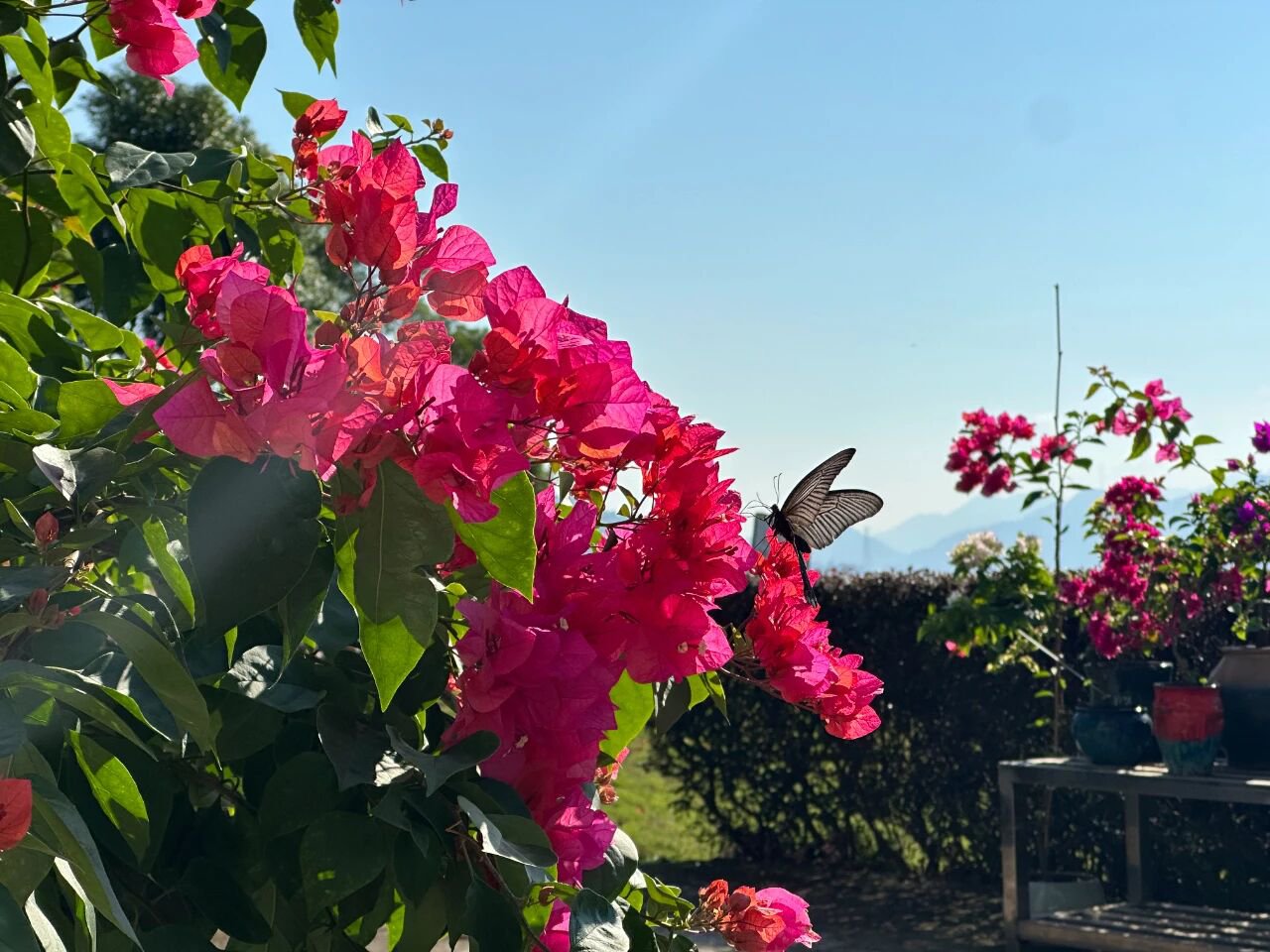 抖圈-为du而生官网入口