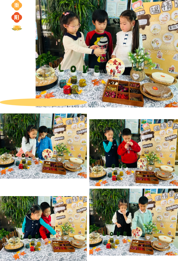 抖圈-为du而生官网入口