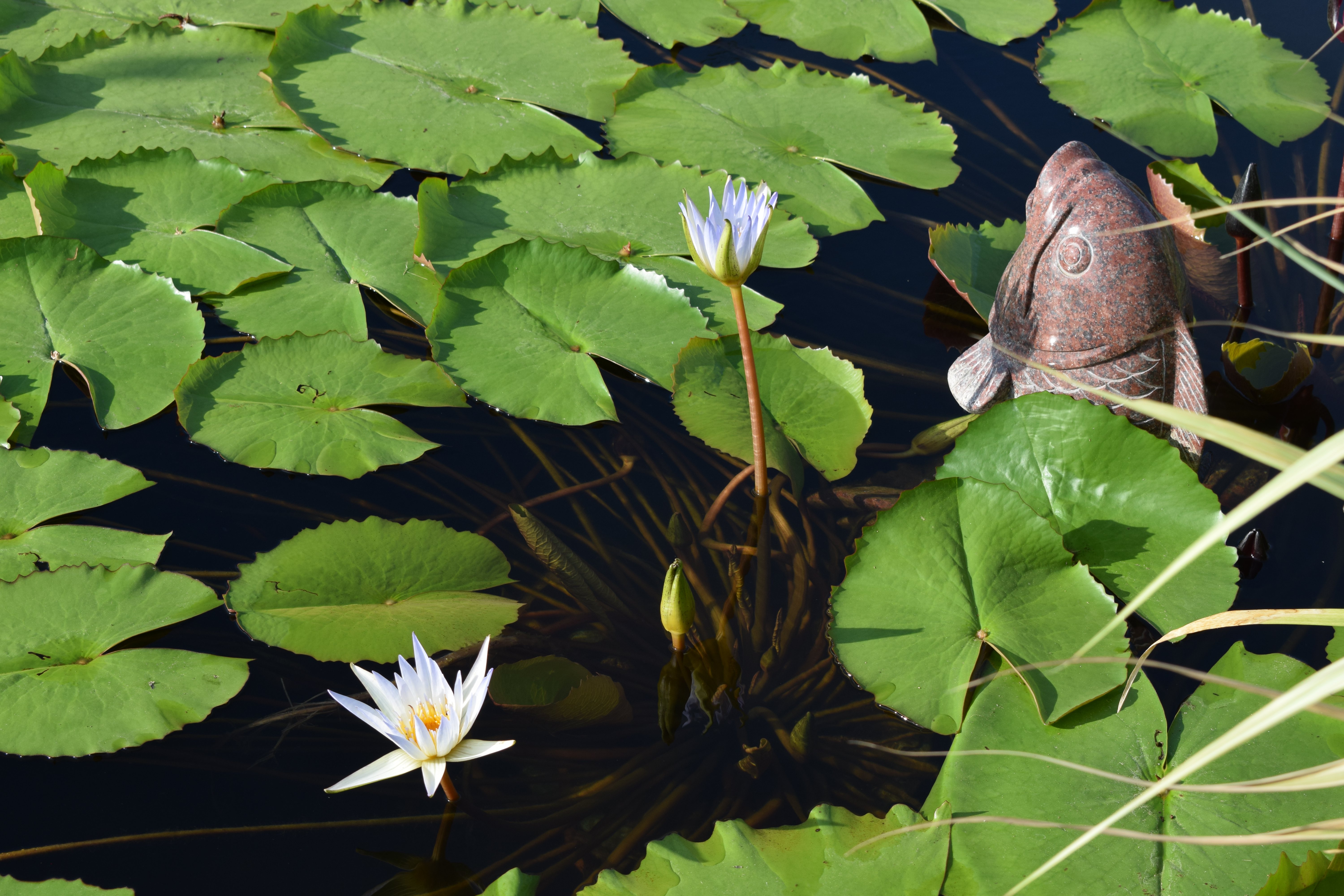 抖圈-为du而生官网入口