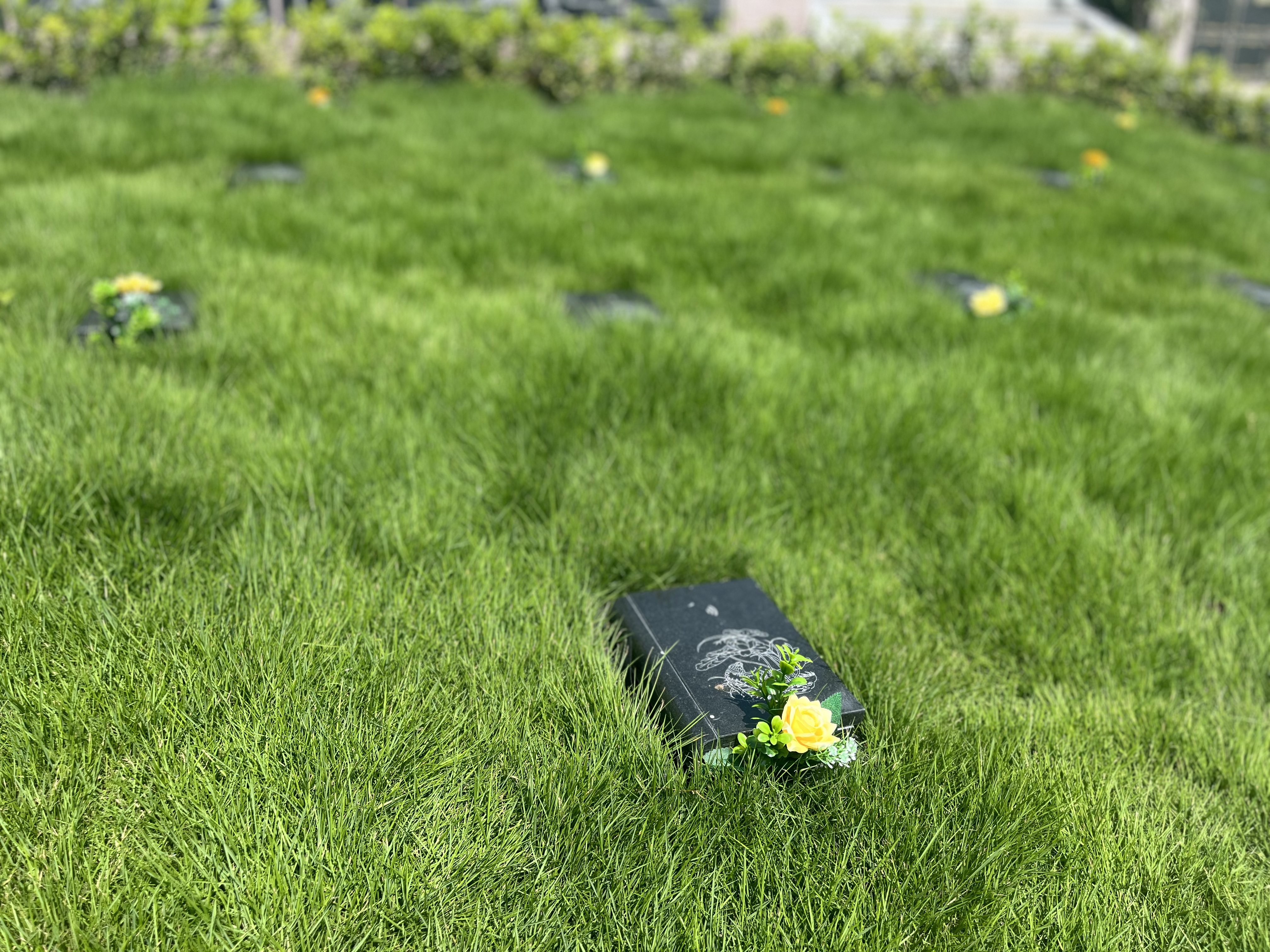 抖圈-为du而生官网入口