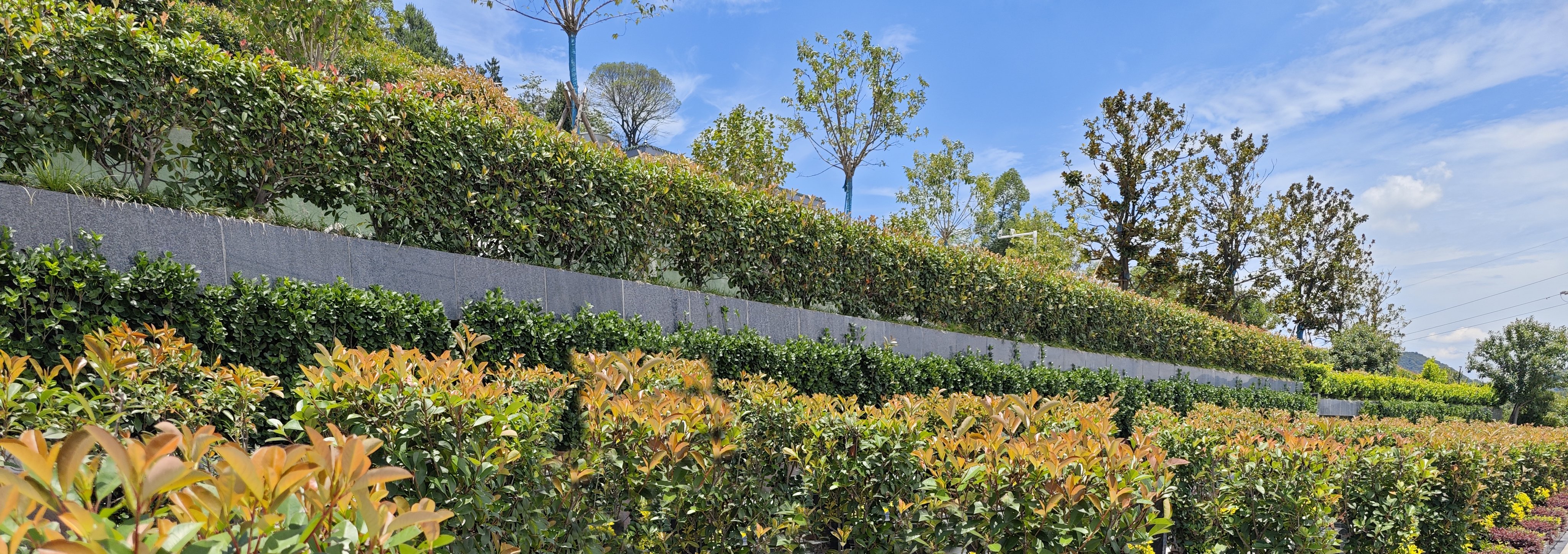 抖圈-为du而生官网入口