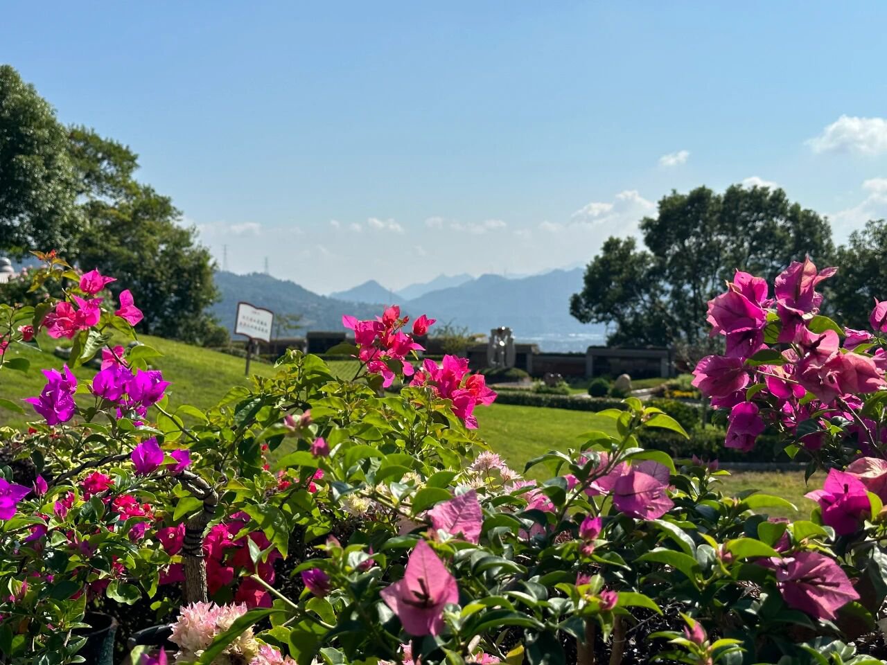 抖圈-为du而生官网入口