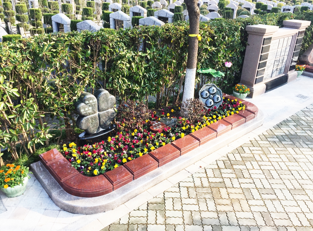 抖圈-为du而生官网入口