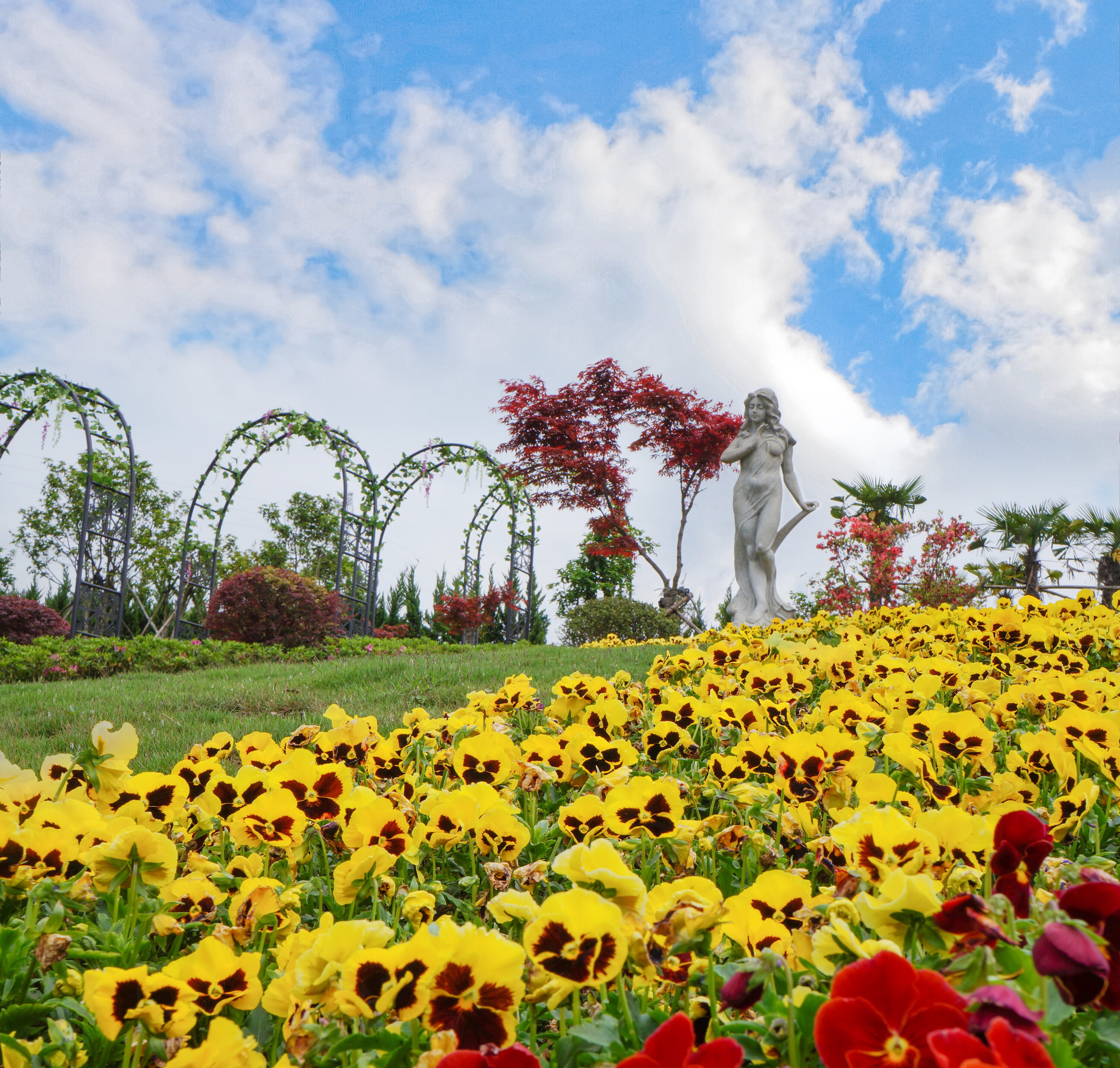 抖圈-为du而生官网入口