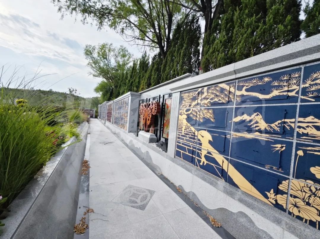 抖圈-为du而生官网入口